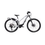 Bianchi-e-Omnia-T-Type-Step-Through-XT-12sp-3.jpg