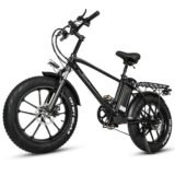 CMACEWHEEL-T20-750W-20-.jpeg