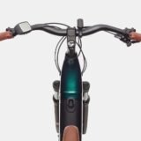 Cannondale-Adventure-Neo-1-EQ-2.jpeg