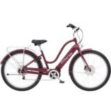 Electra-Townie-Path-Go-5i-Step-Thru-.jpg