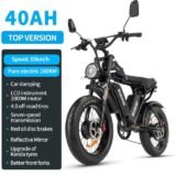 Electric-bike-Ridstar-Q20-PRO-1.jpeg