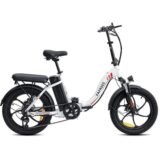 Fafrees-F20-250W-20-Velo-electrique-Pliant-2.jpeg