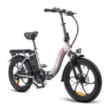 Fafrees-F20-250W-20-Velo-electrique-Pliant-7.jpeg