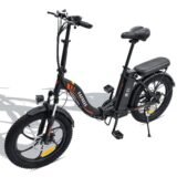 Fafrees-F20-250W-20-Velo-electrique-Pliant-8.jpeg