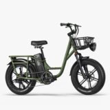 Fiido-T1-Pro-Velo-electrique-Cargo-.jpeg