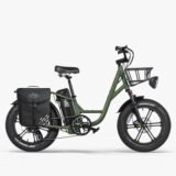 Fiido-T1-Pro-Velo-electrique-Cargo-1.jpeg