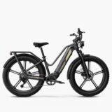 Fiido-Titan-Velo-electrique-Cross-.jpeg