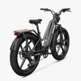Fiido-Titan-Velo-electrique-Cross-6.jpeg