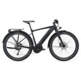 Giant-FastRoad-E-EX-RideDash-Evo.jpg