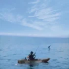 Kayak-de-peche-3.webp