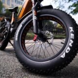Lankeleisi-RX800-Plus-1000W-4.jpeg