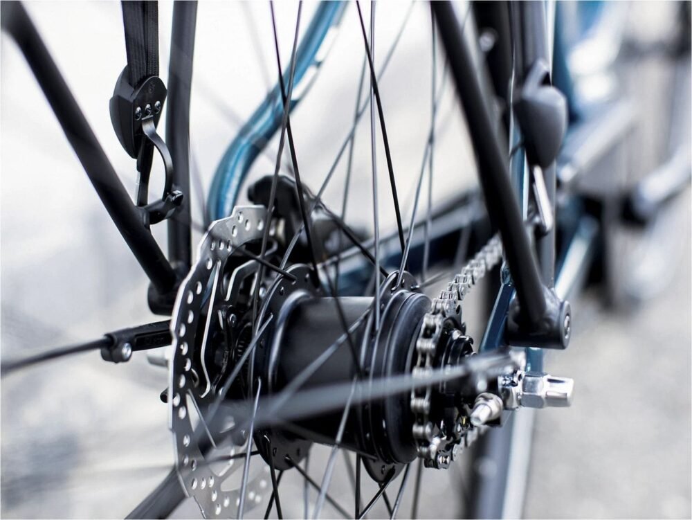 Trek-District-1-Lowstep-400wh-Shimano-Nexus-7V-2022-4_11zon.jpeg