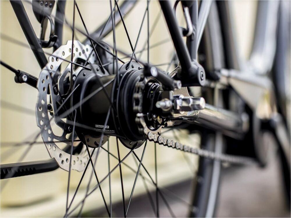 Trek-District-1-Lowstep-500Wh-Shimano-Nexus-7V-4_11zon.jpeg