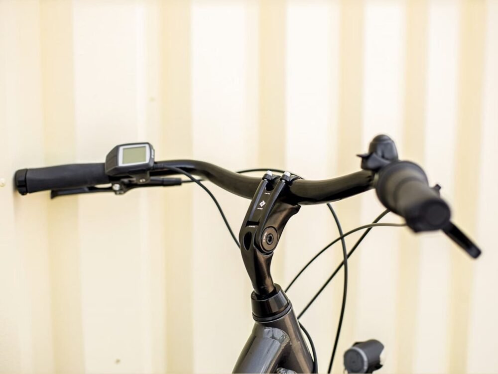 Trek-District-1-Midstep-Shimano-Nexus-2_11zon.jpeg