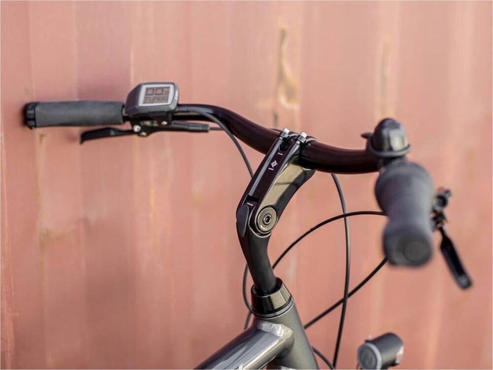 Trek-District-1-Shimano-Nexus-7V-Grey-3_11zon.jpeg