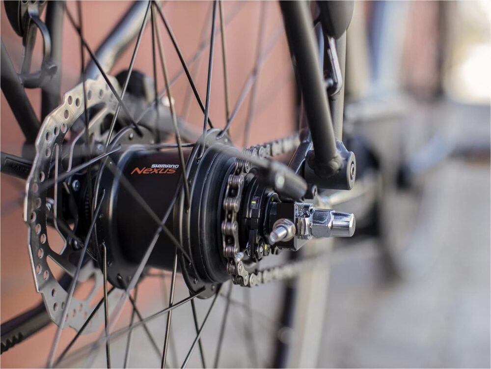 Trek-District-1-Shimano-Nexus-7V-Grey-4_11zon.jpeg