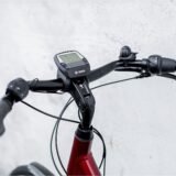 Trek-District-4-Lowstep-400wh-Shimano-Nexus-2022-2_11zon.jpeg