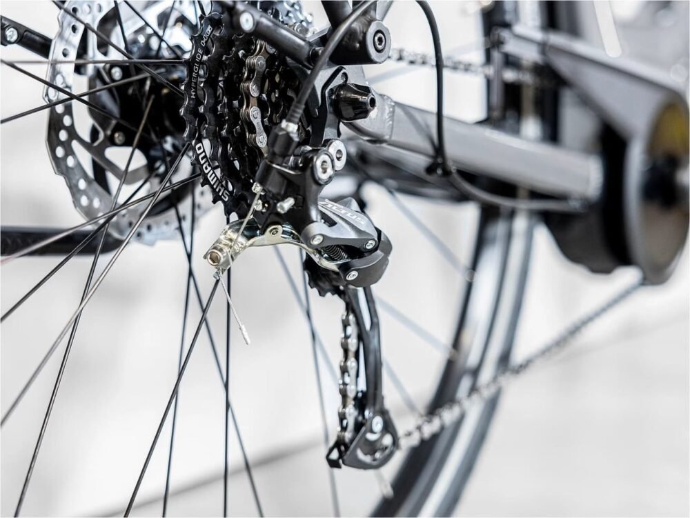 Trek-Verve-1-Lowstep-DT-Shimano-Tourney-Altus-3_11zon-1.jpeg
