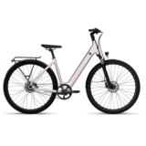 VTC-Electrique-Tenways-CGO800S-4.png