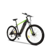 VTC-electrique-Argento-Performance-3.jpeg