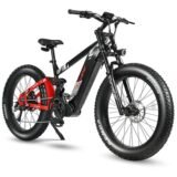 VTT-electrique-Cyrusher-Ranger-7.jpeg