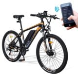 VTT-electrique-Fafrees-Hailong-One-250W-26-2.jpg