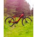 VTT-electrique-R-RAYMON-HardRay-E-4.0-2022-3.jpg