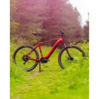 VTT-electrique-R-RAYMON-HardRay-E-4.0-2022-3.jpg