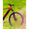VTT-electrique-R-RAYMON-HardRay-E-4.0-2022-4.jpg