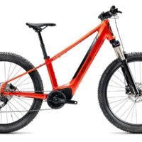 Velo-Electrique-Gitane-G-One-REDWOOD-1.jpg