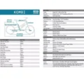 Velo-cargo-electrique-Yuba-Kombi-E5-8.webp
