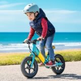 Velo-dequilibre-electrique-Fiido-Kidz-1.jpeg