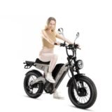 Velo-electrique-Cyrusher-Scout-9.jpeg