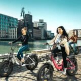 Velo-electrique-Engwe-L20-250W-Fat-E-Bike-7.jpeg