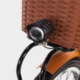 Velo-electrique-biwbik-Gante-white-9.jpg
