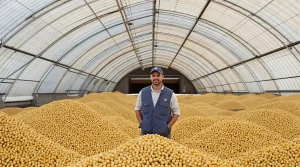 Pas-de-Calais : plutôt que les jeter, un agriculteur offre gratuitement ses pommes de terre aux habitants !